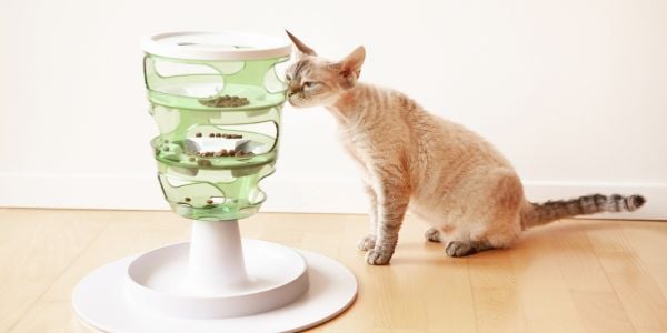 Cat puzzle feeder wet food best sale